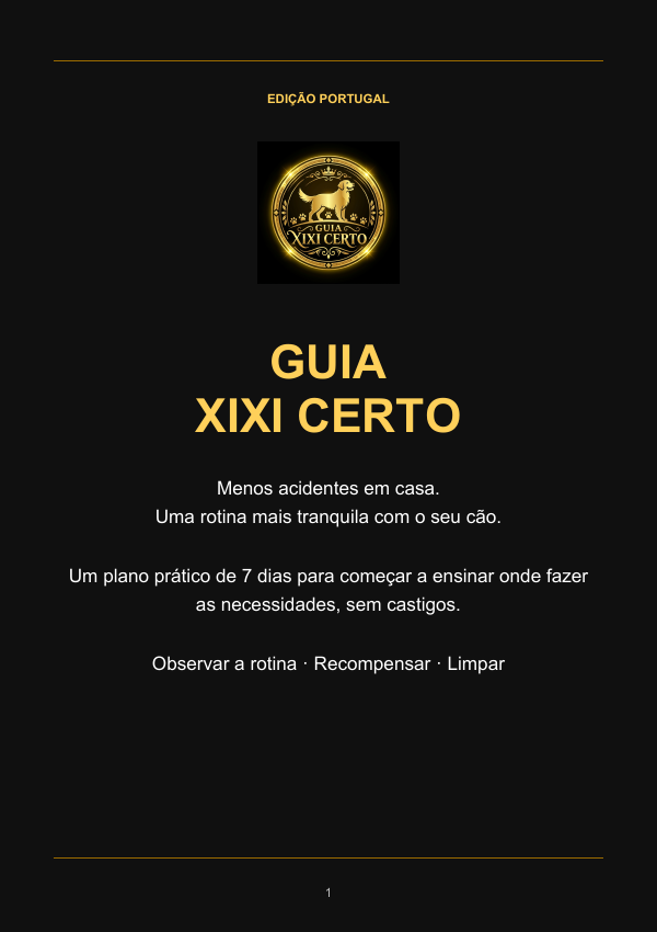 Capa do Guia Xixi Certo — edição Portugal